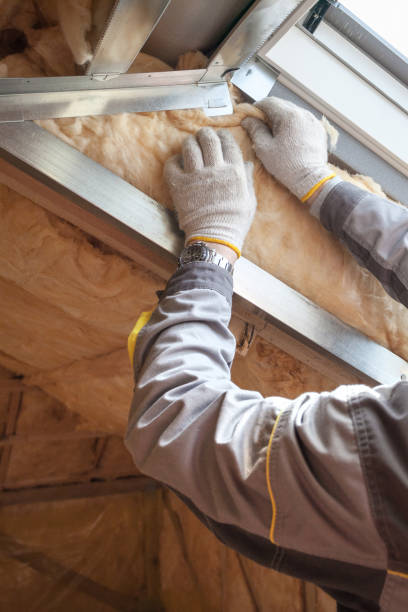 Best Home Insulation Services  in Gravette, AR