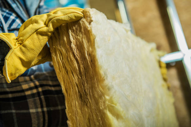 Best Crawl Space Insulation  in Gravette, AR