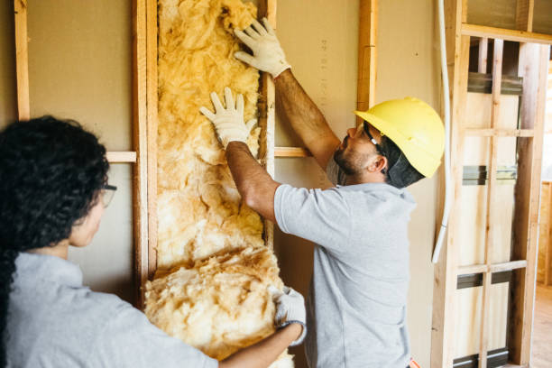 Best Insulation Contractors for Homes  in Gravette, AR