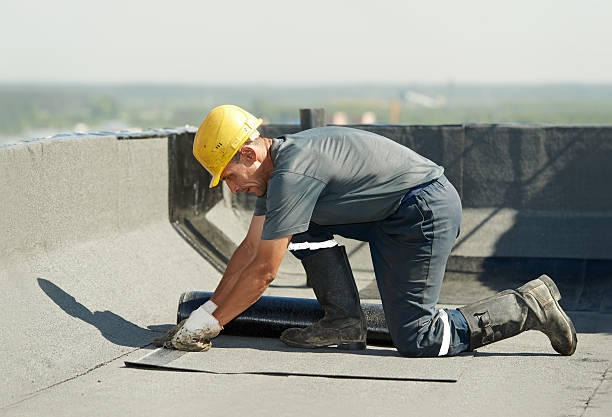 Best Best Insulation Companies  in Gravette, AR